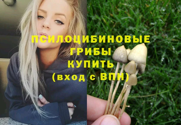 ALPHA PVP Михайловка