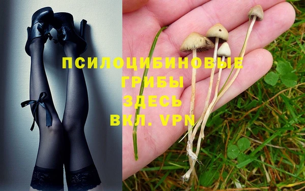 кокс Михайловск