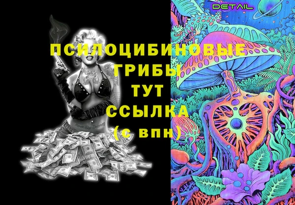 стаф Гусь-Хрустальный