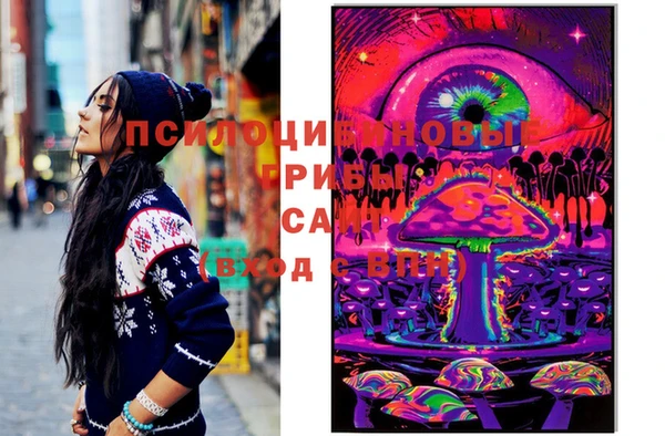 хмурый Михайлов