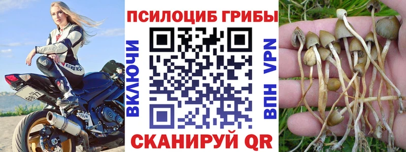 Псилоцибиновые грибы Magic Shrooms  нарко площадка формула  ссылка на мегу как войти  Орёл  наркотики 